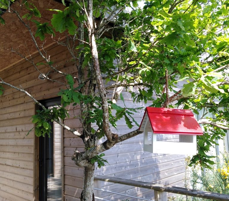 Pour enfin vous accueillir à nouveau …