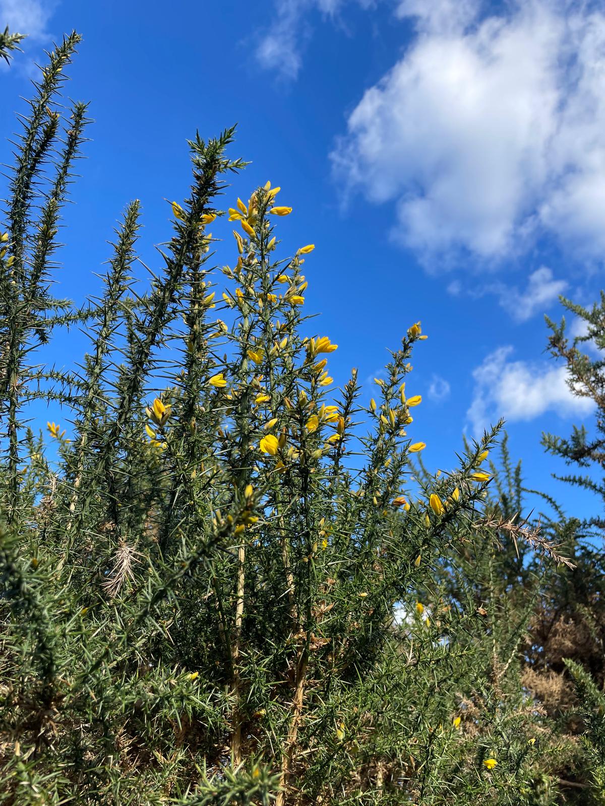 domaine en pleine nature lodges Carrière Sauvage Pont-Aven
