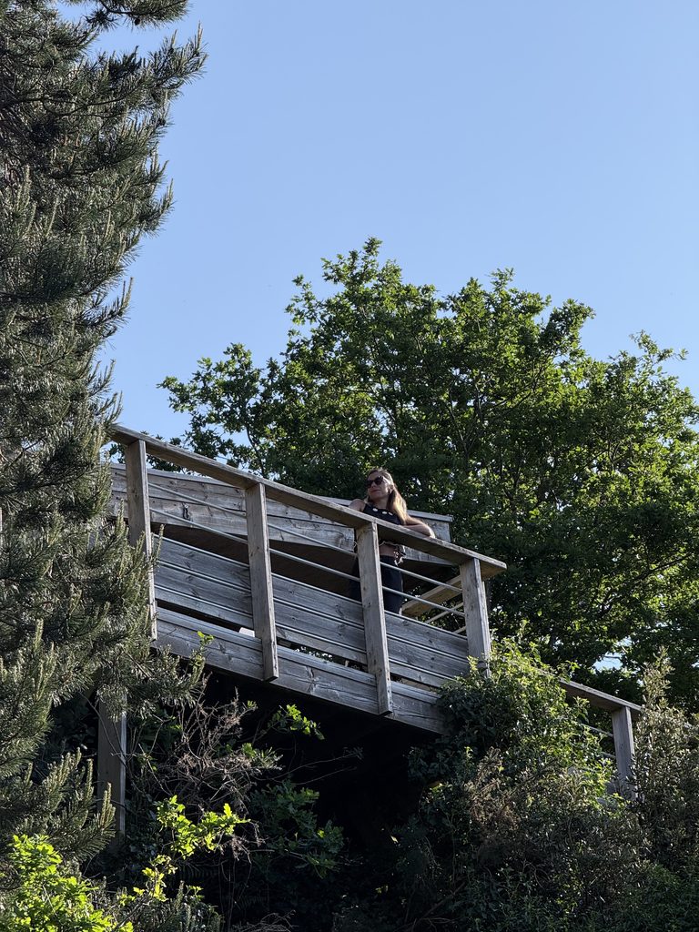 Lodge Sépale avec vue panoramique sur la nature à Pont-Aven