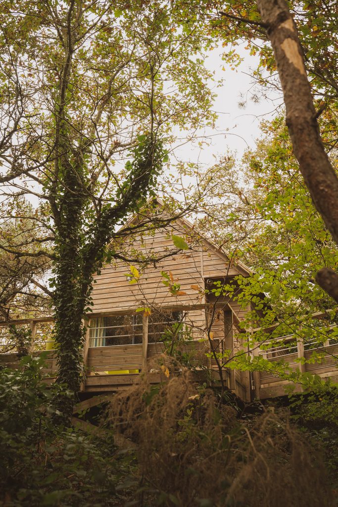 Cabane Sève dans les arbres pour un séjour en famille en Bretagne Sud à Pont-Aven