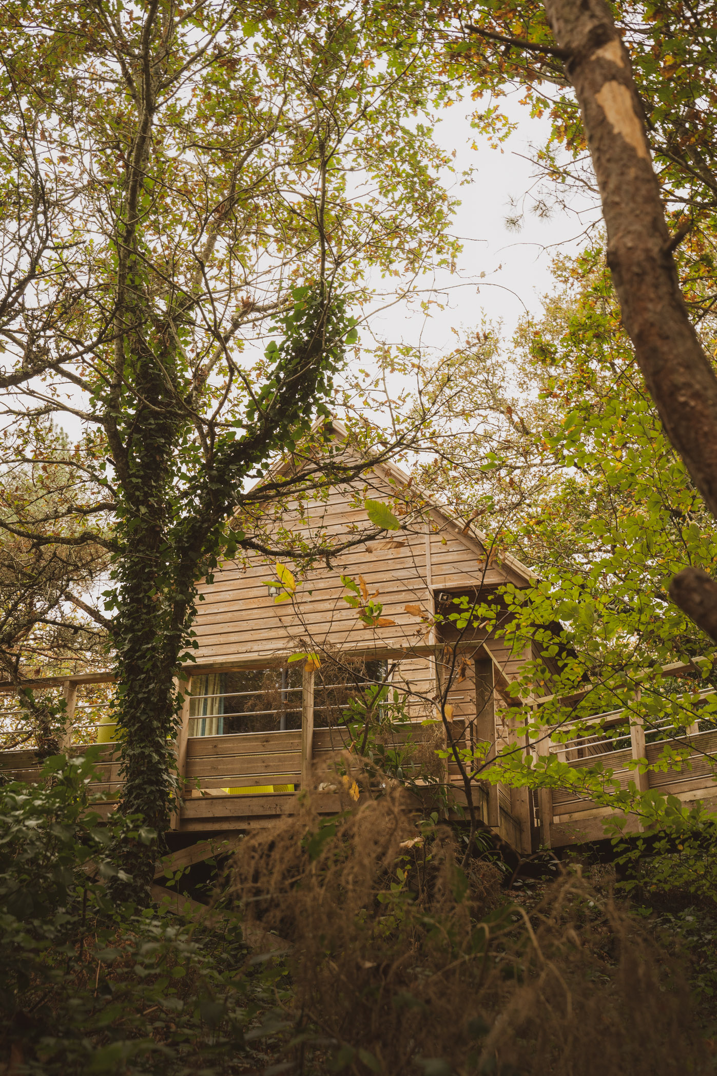 Cabane Sève pour un séjour en famille en Bretagne Sud à Pont-Aven