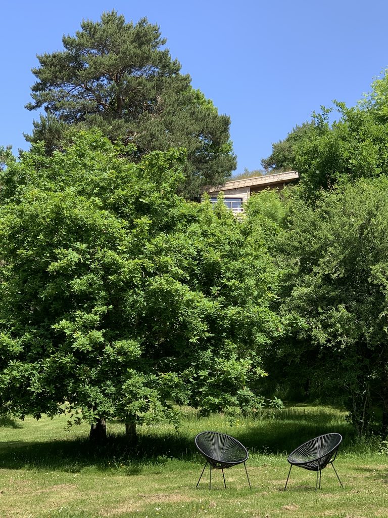 Les cabanes Carrière Sauvage nichées dans la végétation