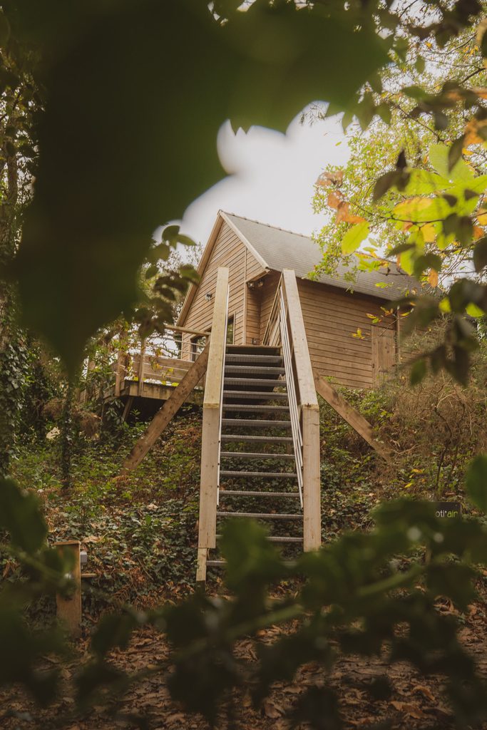 Cabane perchée Sève dans les arbres à Carrière Sauvage